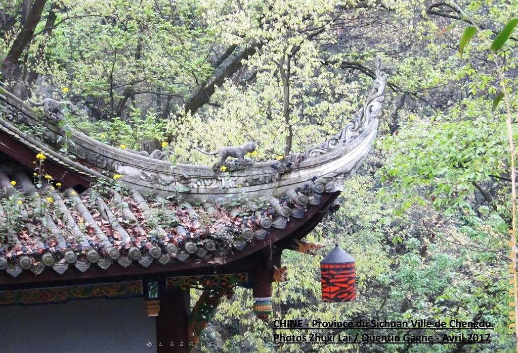 Chengdu avril 2017 - 084.JPG